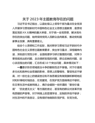 关于2023年主题教育存在的问题