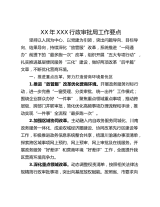 XX年XXX行政审批局工作要点
