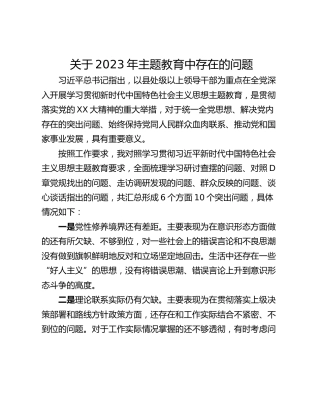 关于2023年主题教育中存在的问题_1