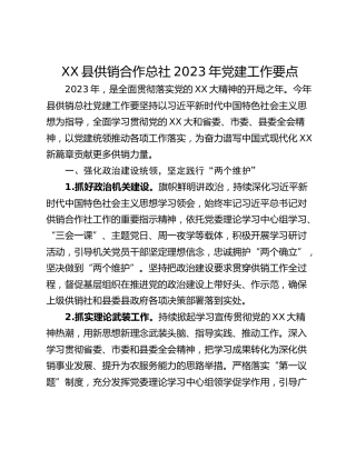 XX县供销合作总社2023年党建工作要点