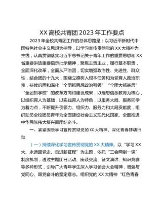 XX高校共青团2023年工作要点