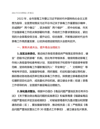 2022年全市禁毒工作要点