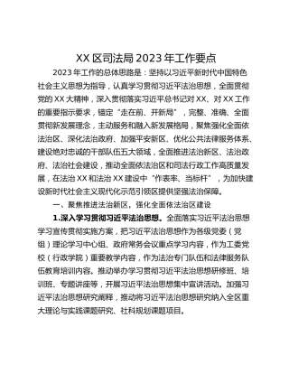 XX区司法局2023年工作要点