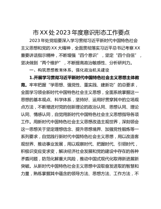 市XX处2023年度意识形态工作要点