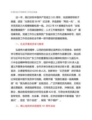 XX镇2022年度组织工作亮点综述