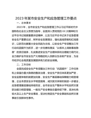 2023年某市安全生产和应急管理工作要点