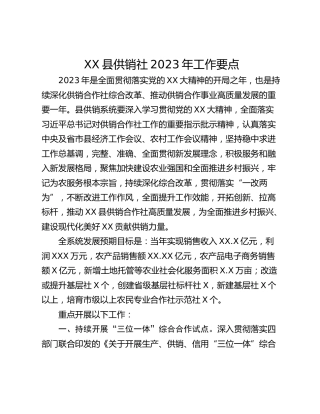 XX县供销社2023年工作要点