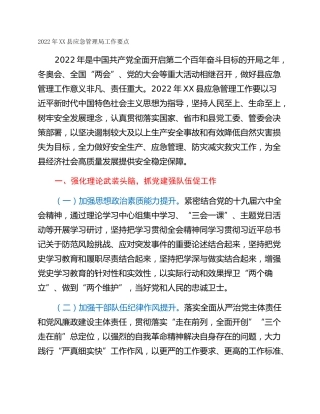 2022年XX县应急管理局工作要点