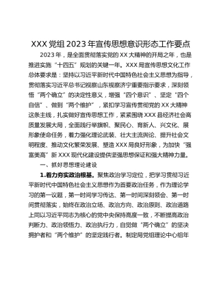 XXX党组2023年宣传思想意识形态工作要点
