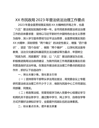 XX市民政局2023年普法依法治理工作要点