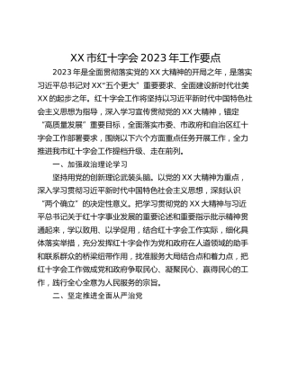 XX市红十字会2023年工作要点_1