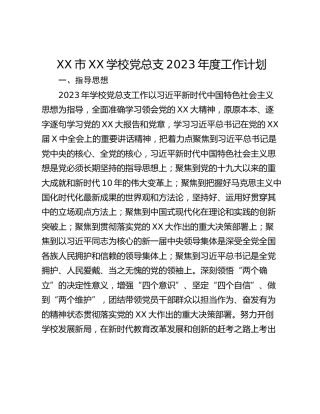 XX市XX学校党总支2023年度工作计划
