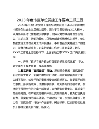 2023年度市直单位党建工作要点三抓三促