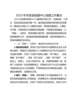 2023年市紧急救援中心党建工作要点