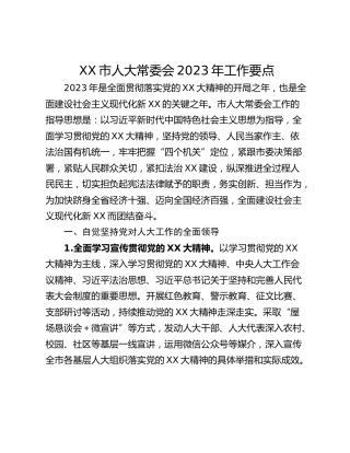 XX市人大常委会2023年工作要点