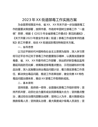 2023年XX街道禁毒工作实施方案