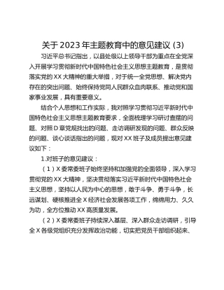 关于2023年主题教育中的意见建议 (3)