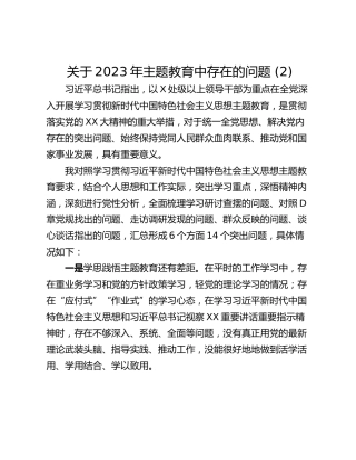 关于2023年主题教育中存在的问题 (2)