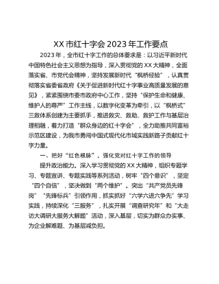 XX市红十字会2023年工作要点