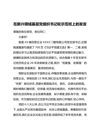 在新兴领域基层党组织书记轮示范班上的发言