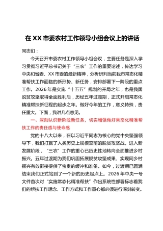 在XX市委农村工作领导小组会议上的讲话_1