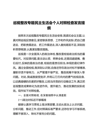巡视整改专题民主生活会个人对照检查发言提纲