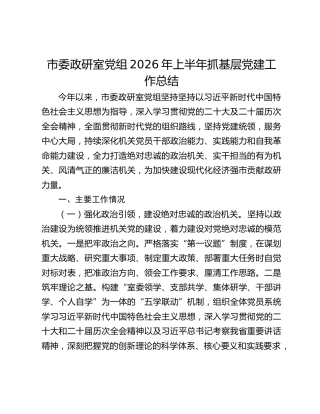 市委政研室党组2026年上半年抓基层党建工作总结