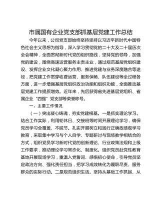 市属国有企业党支部抓基层党建工作总结