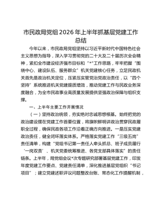 市民政局党组2026年上半年抓基层党建工作总结