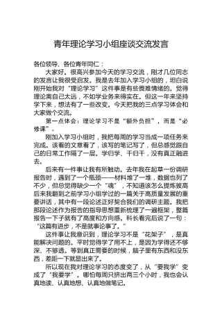 青年理论学习小组座谈交流发言