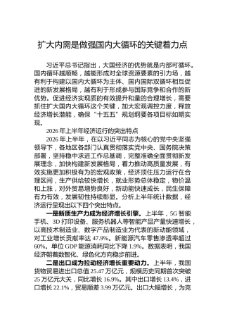 扩大内需是做强国内大循环的关键着力点