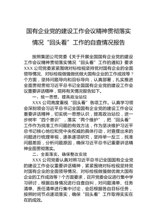 国有企业党的建设工作会议精神贯彻落实情况“回头看”工作的自查情况报告