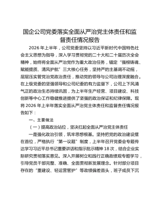 国企公司党委落实全面从严治党主体责任和监督责任情况报告