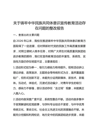 关于铸牢中华民族共同体意识宣传教育活动存在问题的整改报告