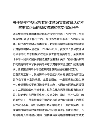 关于铸牢中华民族共同体意识宣传教育活动不够丰富问题的整改措施和落实情况报告