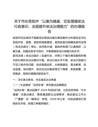关于市长签批件 “以案为镜鉴、切实增强依法行政意识、全面提升依法治理能力” 的办理报告