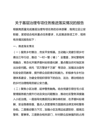 关于基层治理专项任务推进落实情况的报告