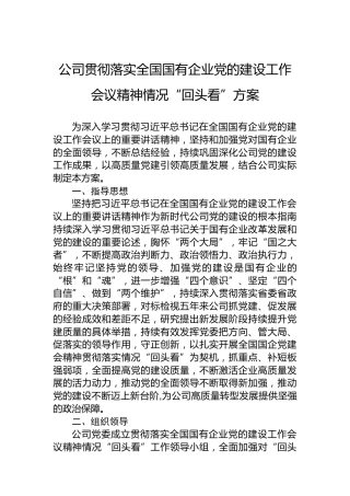 公司贯彻落实全国国有企业党的建设工作会议精神情况“回头看”方案（2021版）