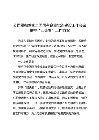 公司贯彻落实全国国有企业党的建设工作会议精神“回头看”工作方案