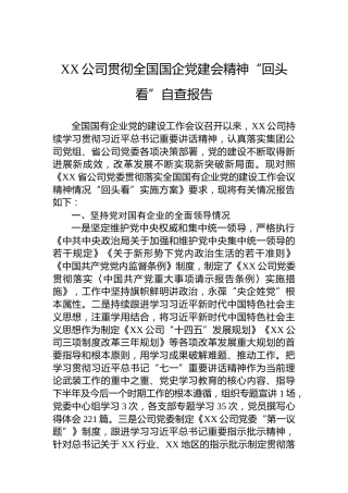 公司贯彻国有企业党的建设工作会议精神“回头看”自查报告（2021版）