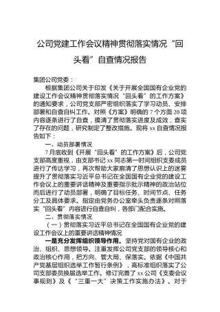 公司党建工作会议精神贯彻落实情况“回头看”自查情况报告