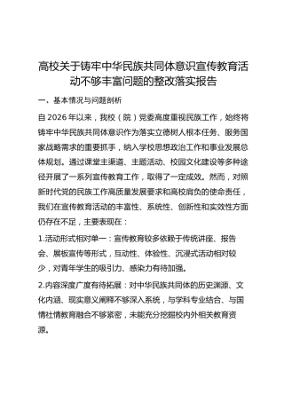 高校关于铸牢中华民族共同体意识宣传教育活动不够丰富问题的整改落实报告