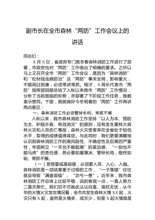 副市长在全市森林“两防”工作会议上的讲话