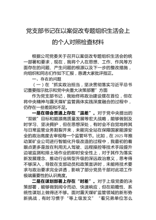 党支部书记以案促改组织生活会个人对照检查