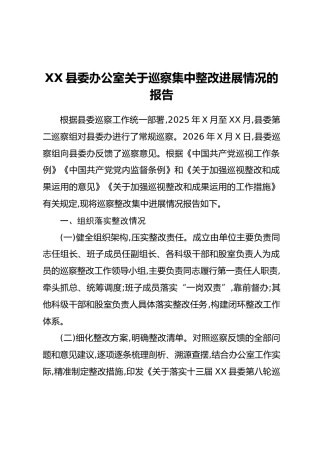 XX县委办公室关于巡察集中整改进展情况的报告