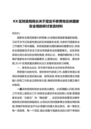 XX区财政局局长关于坚定不移贯彻总体国家安全观的研讨发言材料