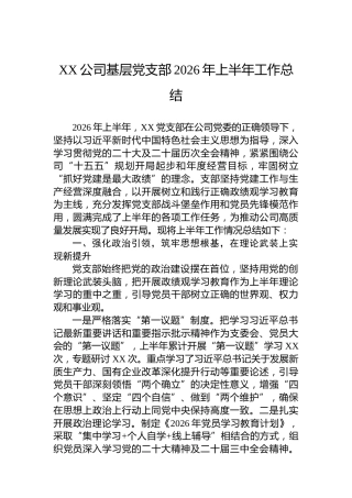 XX公司基层党支部2026年上半年工作总结