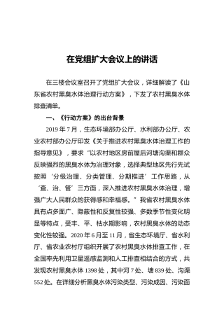在党组扩大会议上的讲话