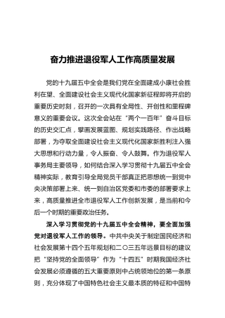 奋力推进退役军人工作高质量发展