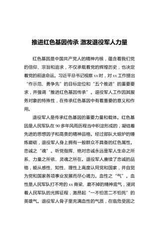 推进红色基因传承激发退役军人力量